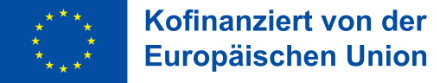 SUS EFRE Logo