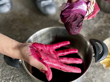 Biorfabrique Vienna Wiener Farben Biofabrique Vienna: Färbeproben mit den Wiener Farben