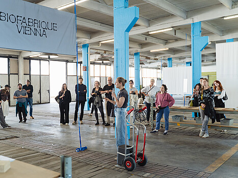 Creative Days Vienna 2026 - part of ViennaUp