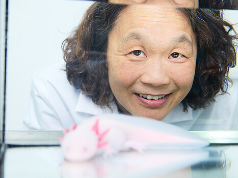 Elly Tanaker – Oxelotel