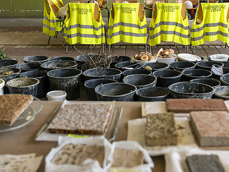 Biofabrique Vienna auf der ersten Klimabiennale. Forschung mit Öffi-Aushub und Backwarenresten