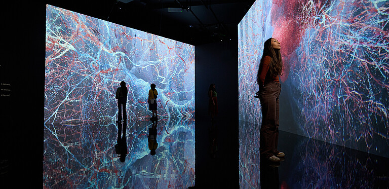 Evolver by Marshmallow Laser Feast, Works of Nature, installation view, 2023 