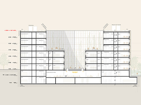 Schnitt B Life Science Center Plan Schnitt B
