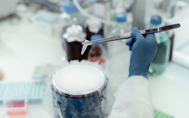 Comet-Zentren betreiben Spitzenforschung für Wien